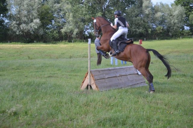 reitertag 2013 292